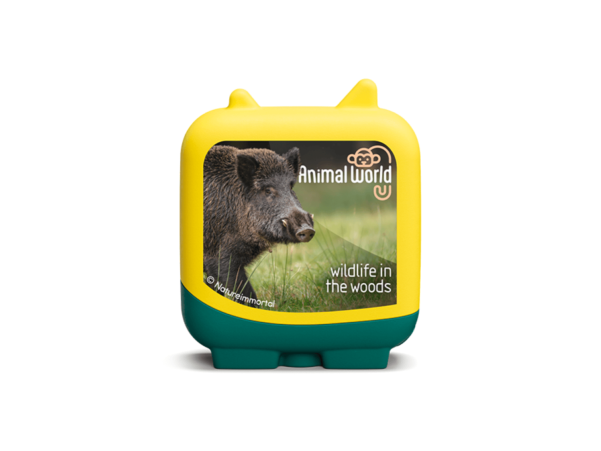 Animal World Wildlife in the Woods Clever Tonies - 4 Pack - Image 5