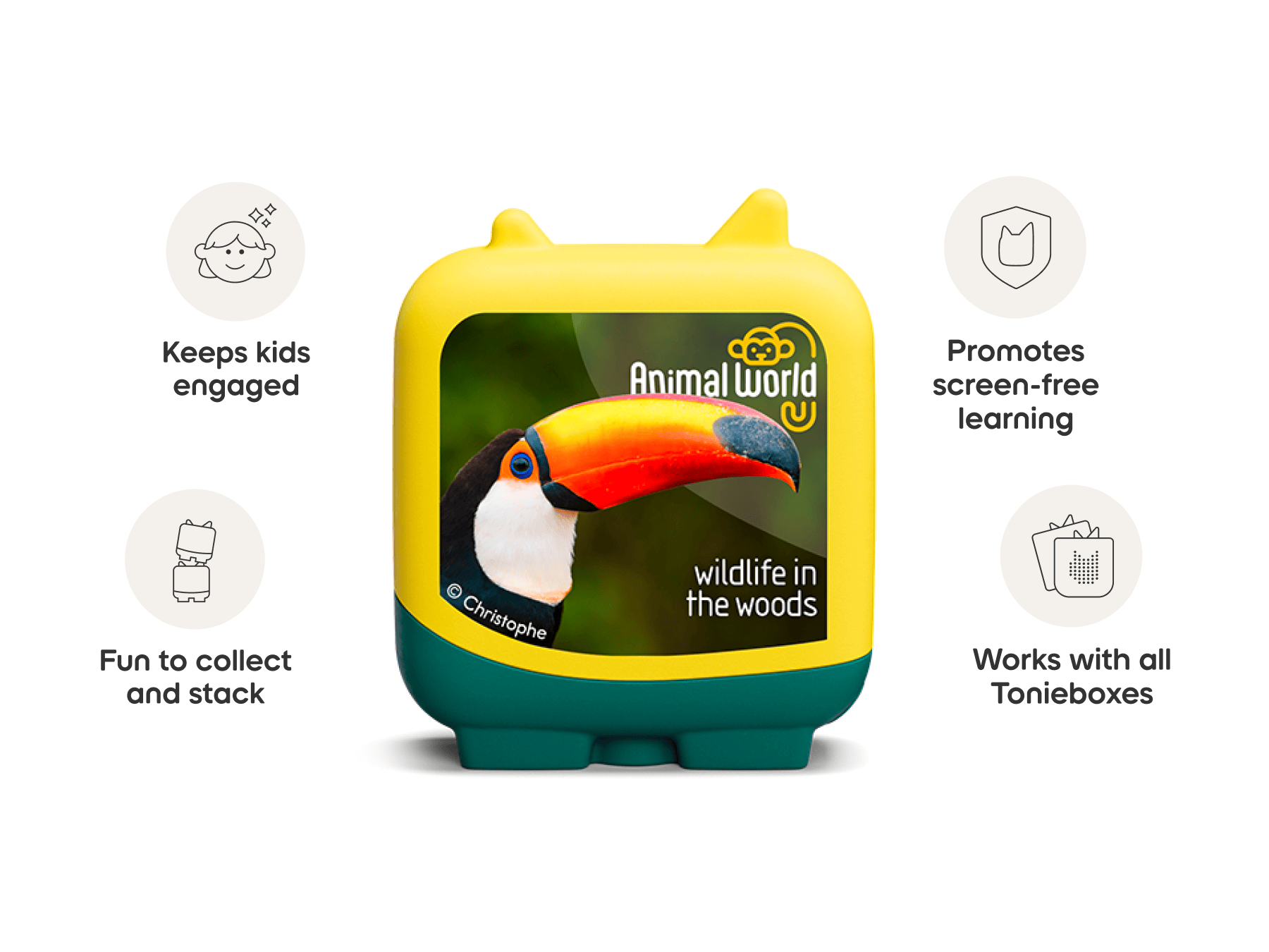 Animal World Wildlife in the Woods Clever Tonies - 4 Pack - Image 9
